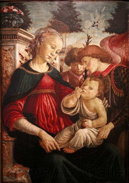 Sandro Botticelli Virgin and child with two angels Norge oil painting art